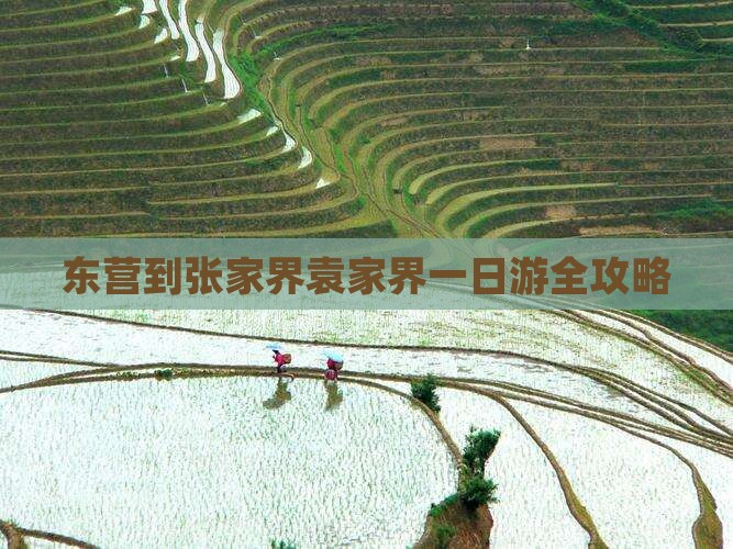 东营到张家界袁家界一日游全攻略