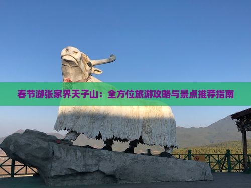 春节游张家界天子山：全方位旅游攻略与景点推荐指南