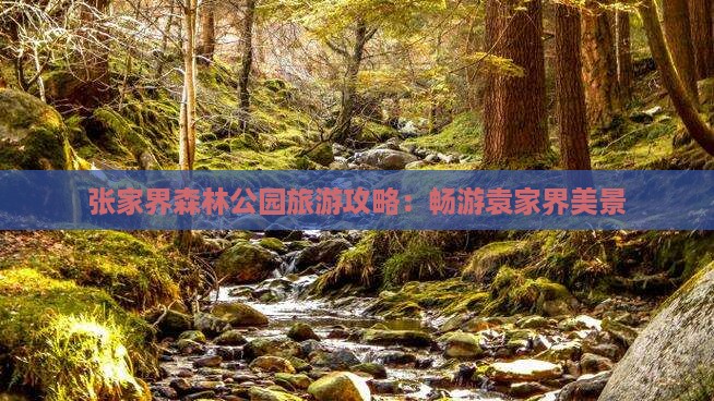 张家界森林公园旅游攻略：畅游袁家界美景