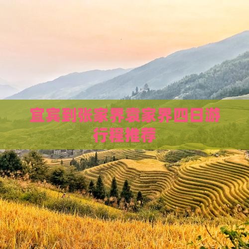 宜宾到张家界袁家界四日游行程推荐