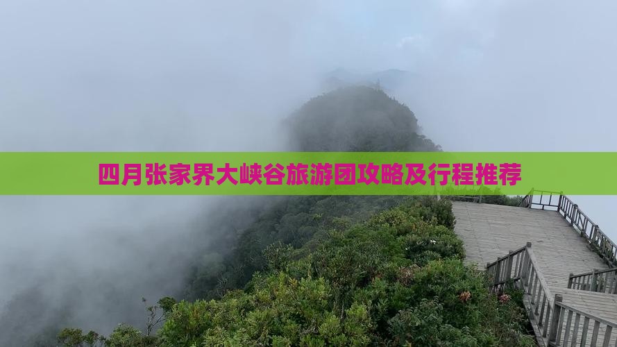 四月张家界大峡谷旅游团攻略及行程推荐