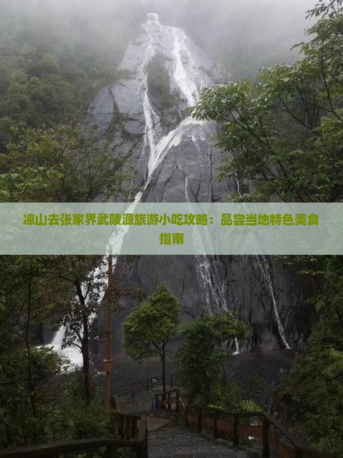 凉山去张家界武陵源旅游小吃攻略：品尝当地特色美食指南
