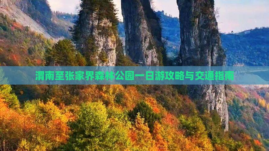 渭南至张家界森林公园一日游攻略与交通指南