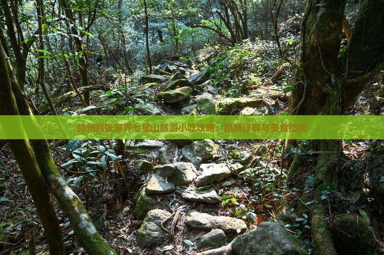 赣州到张家界七星山旅游小吃攻略：路线详解与美食指南