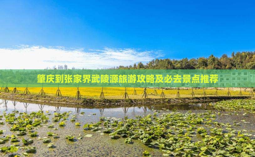 肇庆到张家界武陵源旅游攻略及必去景点推荐