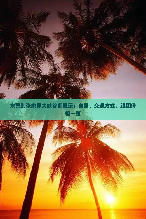 东营到张家界大峡谷哪里玩：自驾、交通方式、跟团价格一览