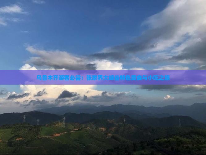 乌鲁木齐游客必尝：张家界大峡谷特色美食与小吃之旅