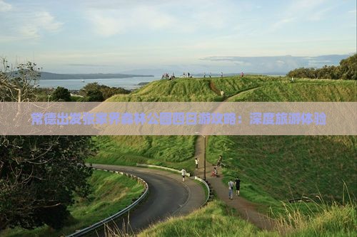 常德出发张家界森林公园四日游攻略：深度旅游体验