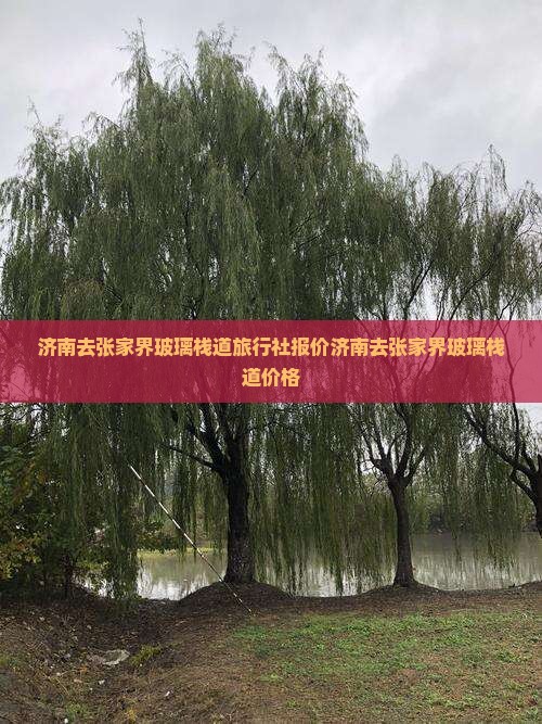 济南去张家界玻璃栈道旅行社报价济南去张家界玻璃栈道价格