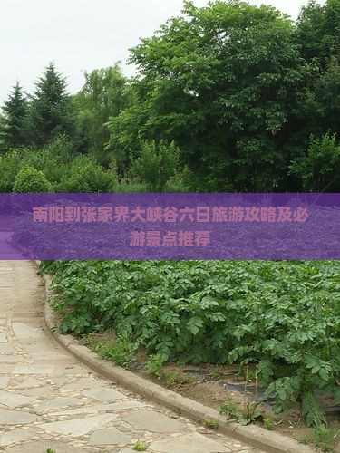 南阳到张家界大峡谷六日旅游攻略及必游景点推荐