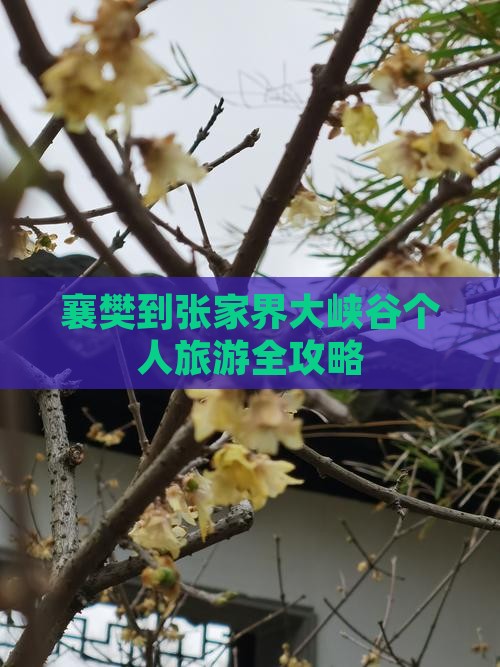 襄樊到张家界大峡谷个人旅游全攻略