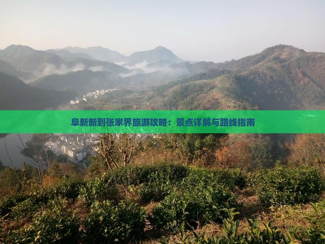阜新新到张家界旅游攻略:景点详解与路线指南 阜新新到张家界旅游攻略:景点详解与路线指南