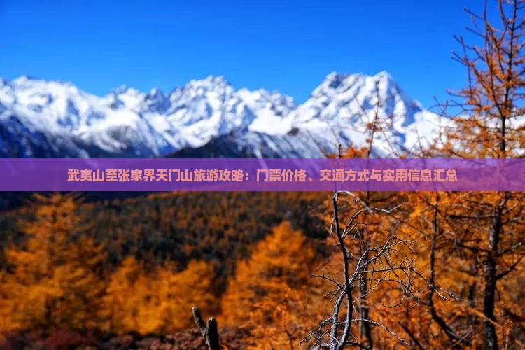 武夷山至张家界天门山旅游攻略:门票价格、交通方式与实用信息汇总 武夷山至张家界天门山旅游攻略:门票价格、交通方式与实用信息汇总