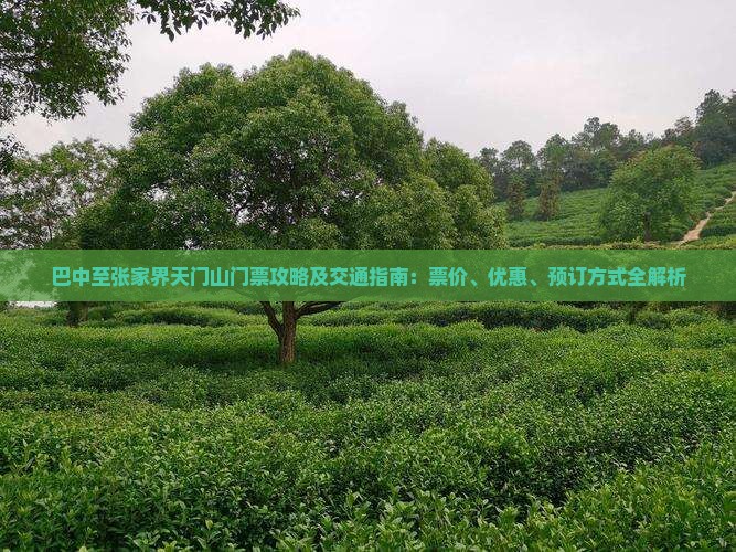 巴中至张家界天门山门票攻略及交通指南：票价、优惠、预订方式全解析