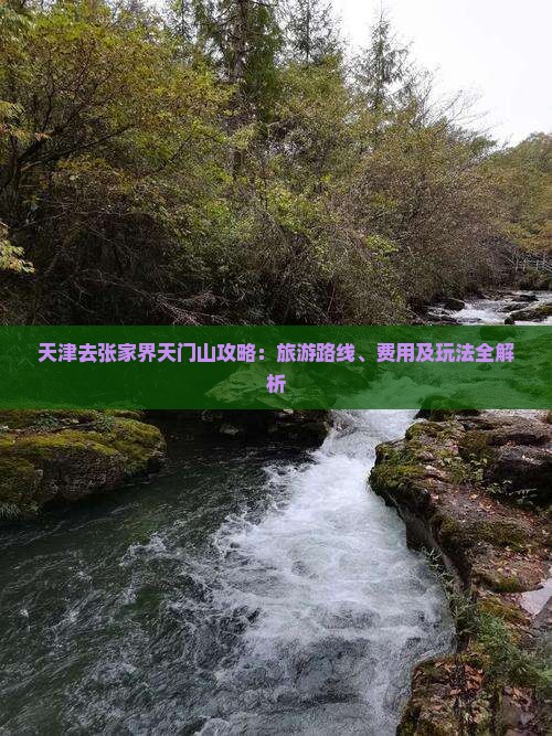 天津去张家界天门山攻略：旅游路线、费用及玩法全解析