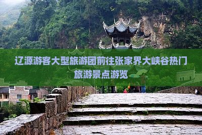辽源游客大型旅游团前往张家界大峡谷热门旅游景点游览