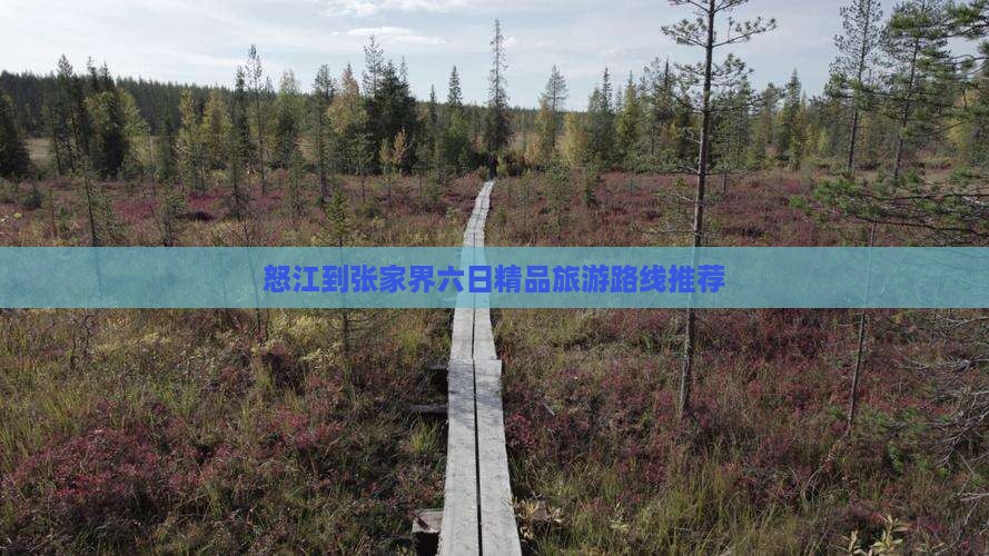怒江到张家界六日精品旅游路线推荐 怒江到张家界六日精品旅游路线推荐