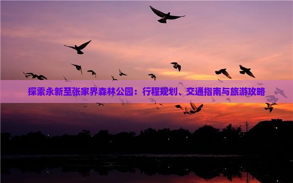 探索永新至张家界森林公园：行程规划、交通指南与旅游攻略