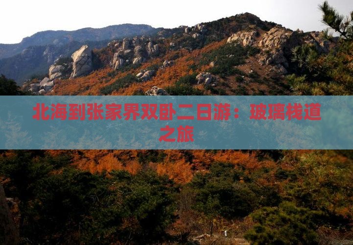 北海到张家界双卧二日游：玻璃栈道之旅