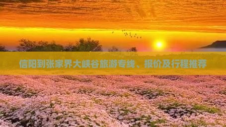 信阳到张家界大峡谷旅游专线、报价及行程推荐