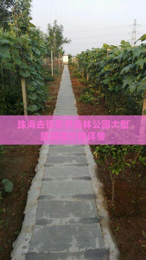 珠海去张家界森林公园大型旅游团价格详情