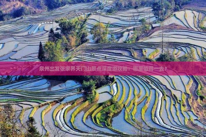 泉州出发张家界天门山景点深度游攻略：哪里值得一去？