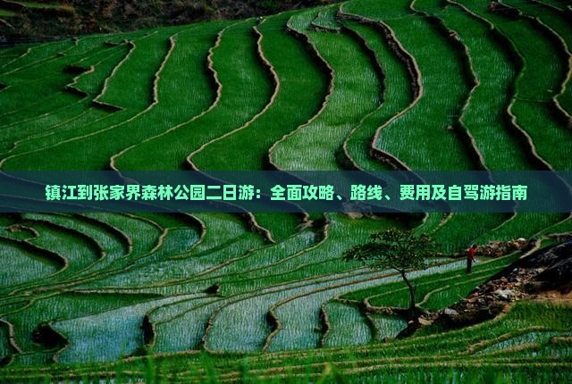 镇江到张家界森林公园二日游：全面攻略、路线、费用及自驾游指南
