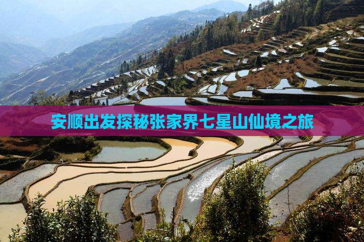 安顺出发探秘张家界七星山仙境之旅