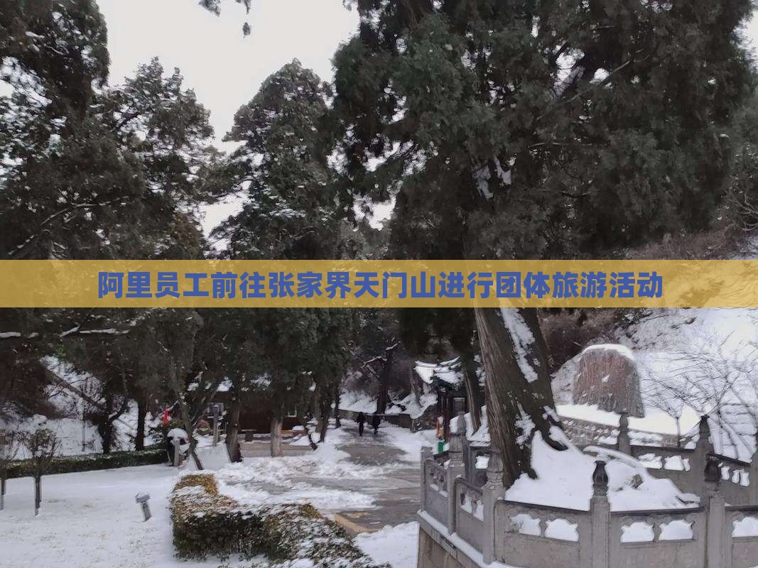 阿里员工前往张家界天门山进行团体旅游活动