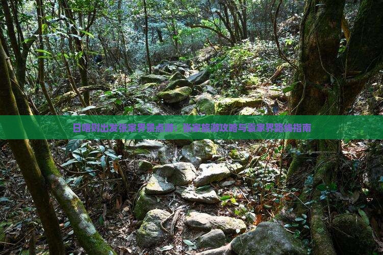 日喀则出发张家界景点游：张家旅游攻略与袁家界路线指南