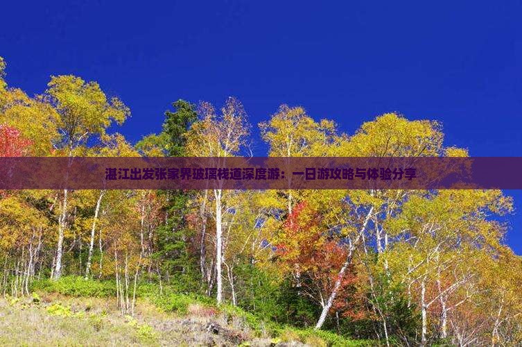 湛江出发张家界玻璃栈道深度游：一日游攻略与体验分享