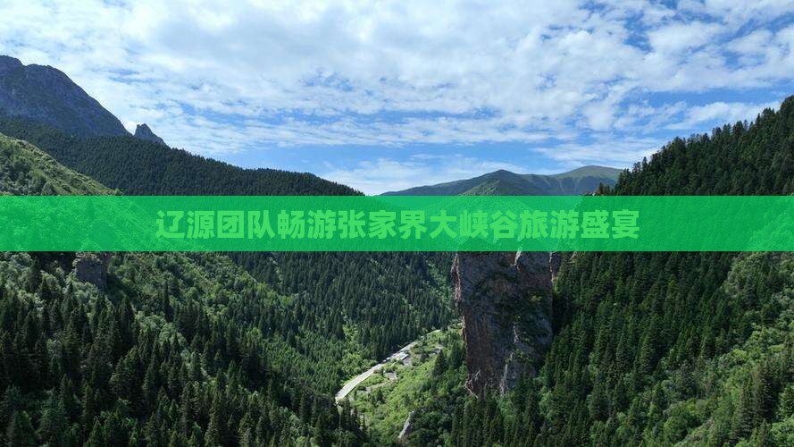 辽源团队畅游张家界大峡谷旅游盛宴