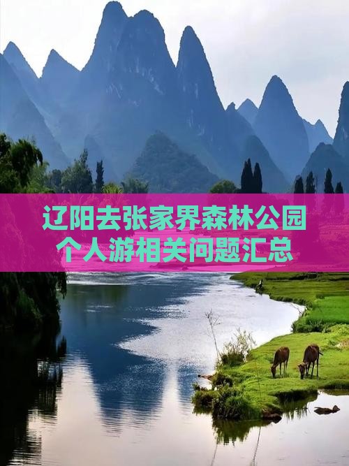 辽阳去张家界森林公园个人游相关问题汇总