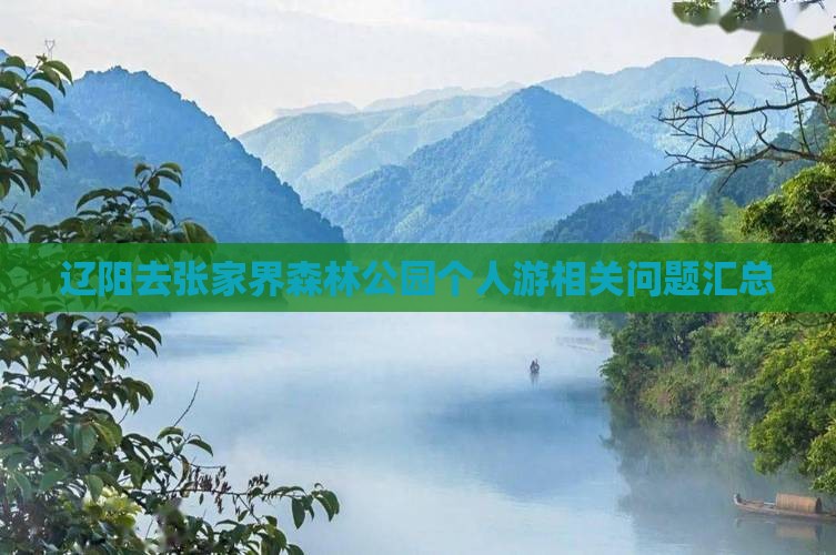 辽阳去张家界森林公园个人游相关问题汇总