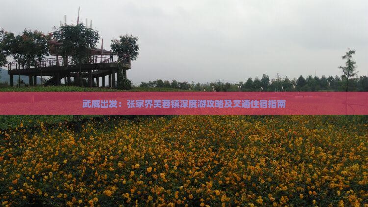 武威出发：张家界芙蓉镇深度游攻略及交通住宿指南