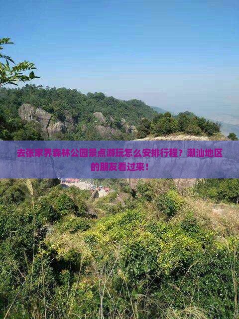 汕头去张家界森林公园景点