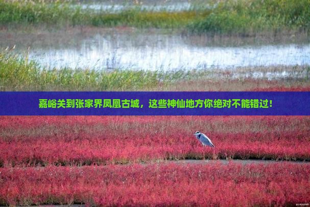 嘉峪关到张家界凤凰古城必去地