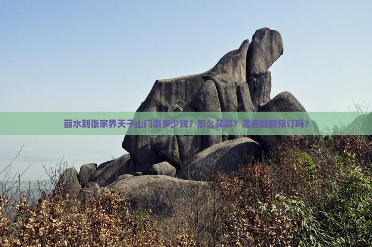 丽水到张家界天子山门票 丽水到张家界天子山门票