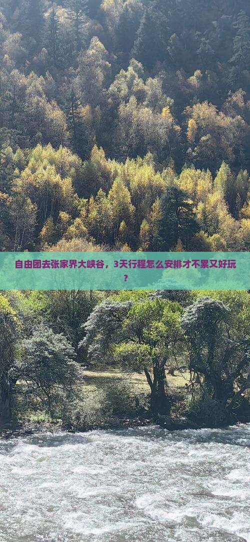 绍兴去张家界大峡谷自由团