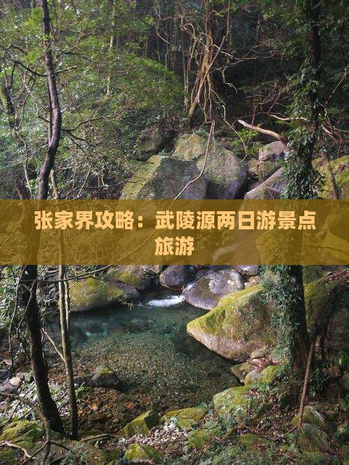 雅安去张家界武陵源二日游