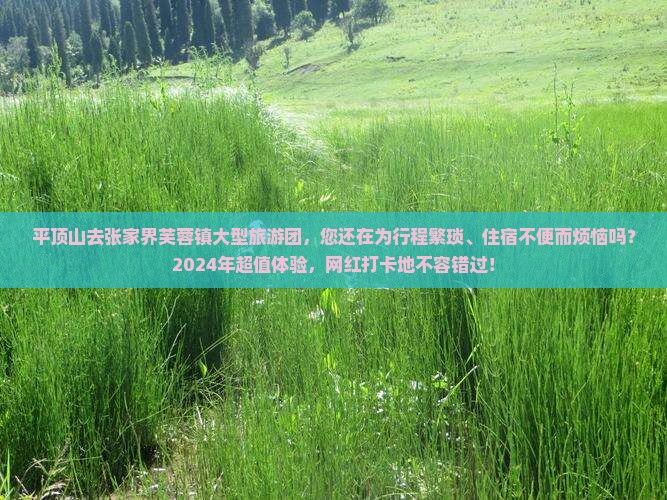 平顶山去张家界芙蓉镇大型旅游团