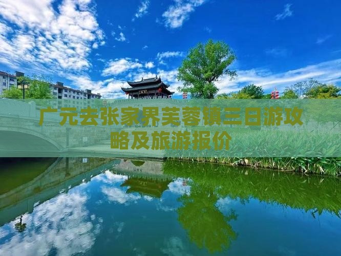 广元去张家界芙蓉镇三日游