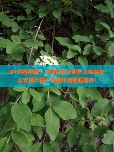 海口去张家界大峡谷必去地