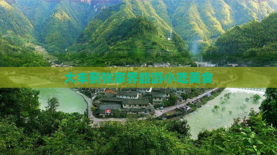 大丰到张家界旅游小吃