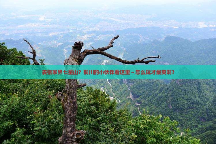 铜川去张家界七星山哪里玩