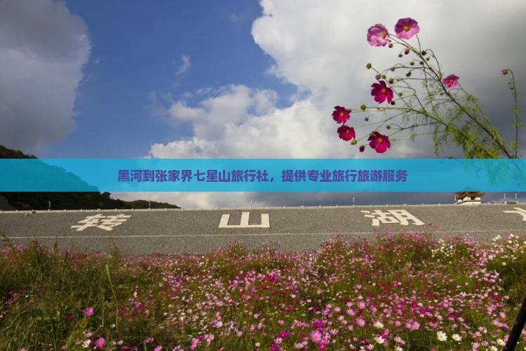 黑河去张家界七星山旅行社