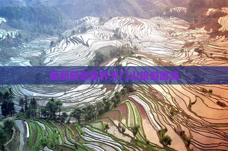垦利到张家界天门山旅游