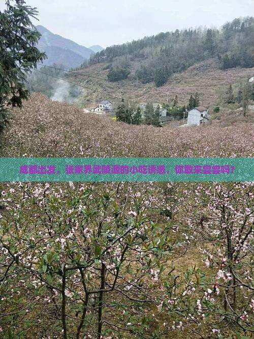 成都去张家界武陵源旅游小吃