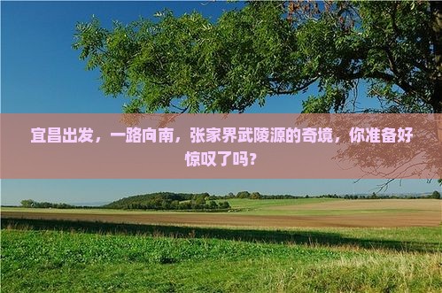 宜昌到张家界武陵源景点 宜昌到张家界武陵源景点