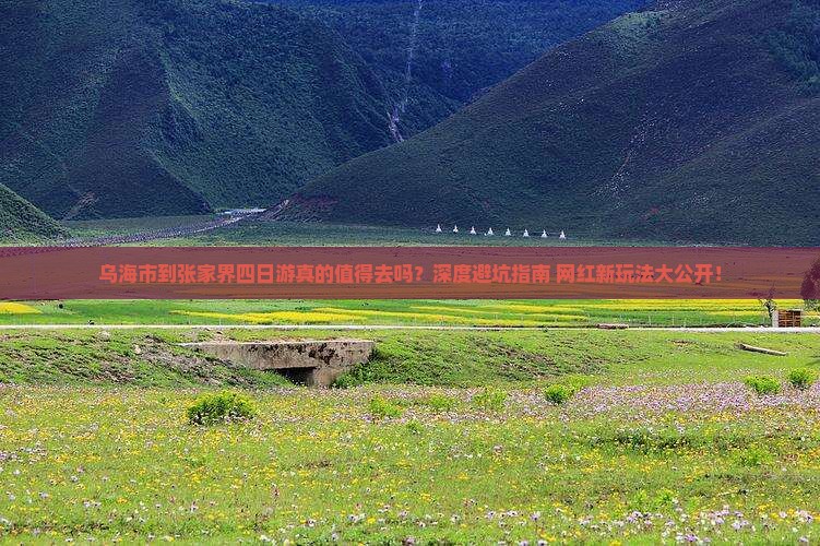 乌海市到张家界四日游